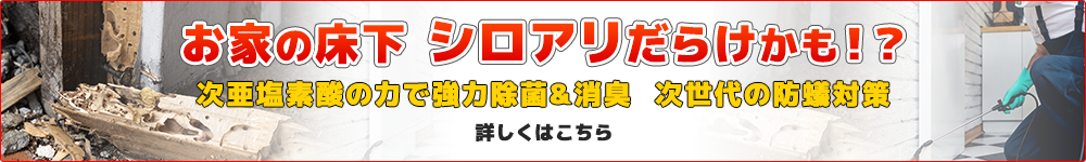 お家の床下 シロアリだらけかも！？