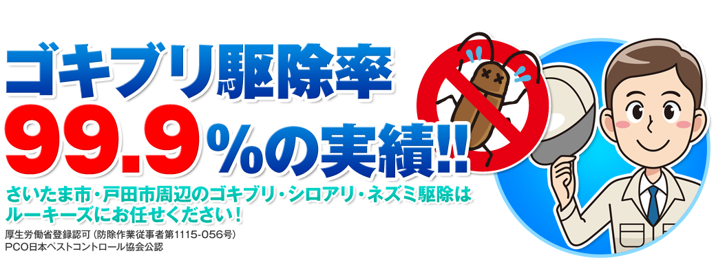 ゴキブリ駆除率99.9％の実績!!さいたま市・戸田市周辺のゴキブリ・シロアリ・ネズミ駆除はルーキーズにお任せください！